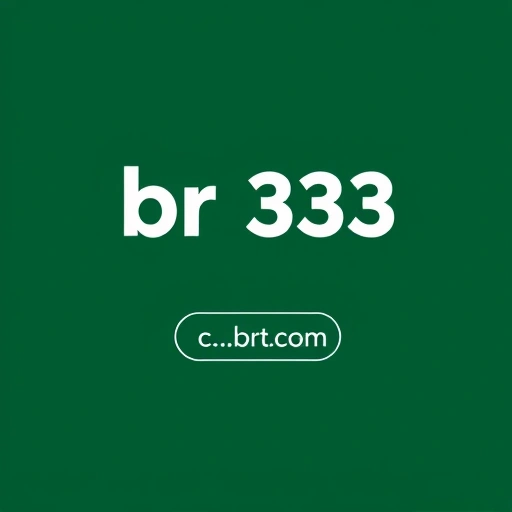 br333